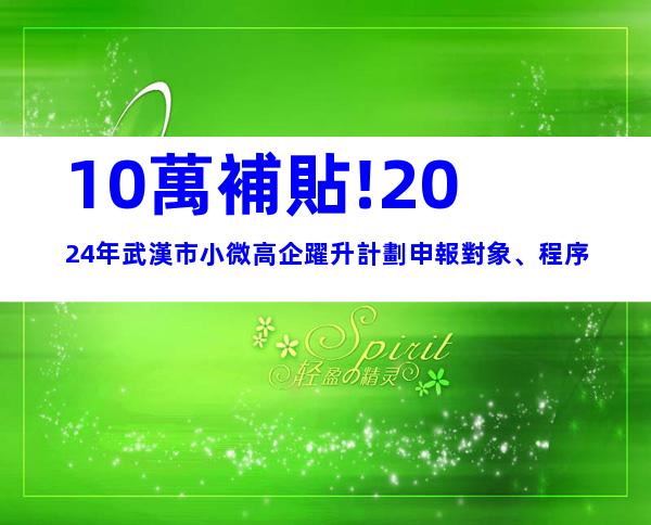 10萬補貼!2024年武漢市小微高企躍升計劃申報對象、程序