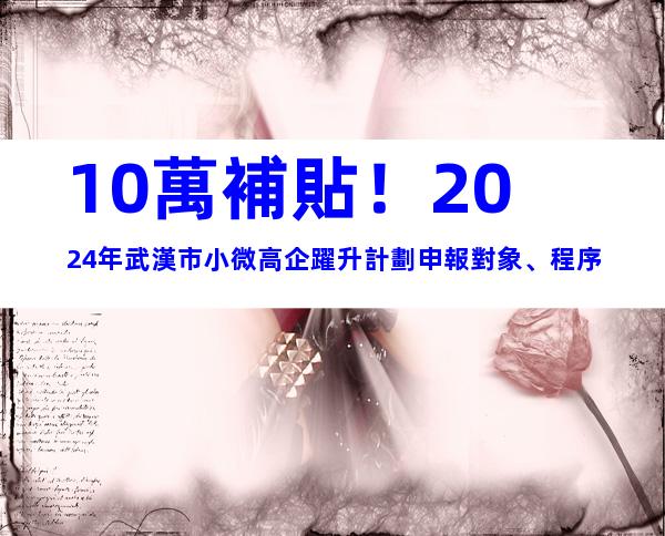 10萬補貼！2024年武漢市小微高企躍升計劃申報對象、程序