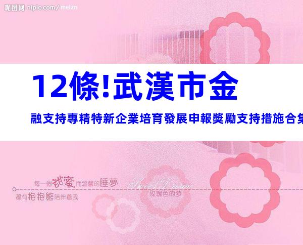 12條!武漢市金融支持專精特新企業培育發展申報獎勵支持措施合集