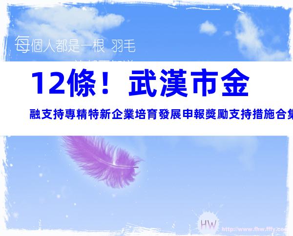 12條！武漢市金融支持專精特新企業培育發展申報獎勵支持措施合集