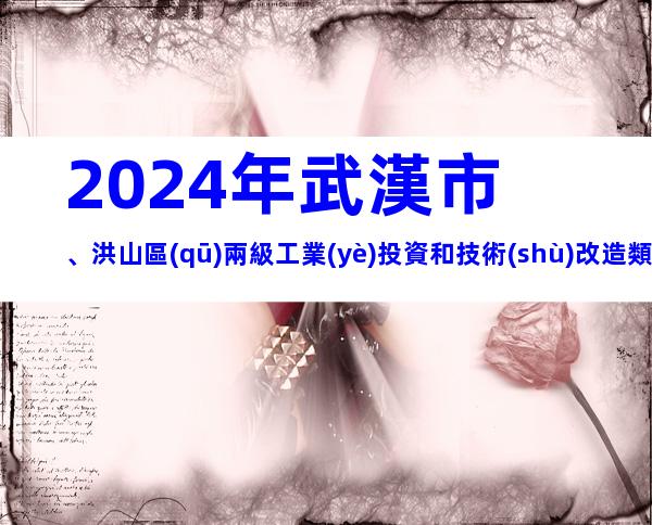 2024年武漢市、洪山區(qū)兩級工業(yè)投資和技術(shù)改造類專項(xiàng)資金申報(bào)條件、獎補(bǔ)、材料、時間