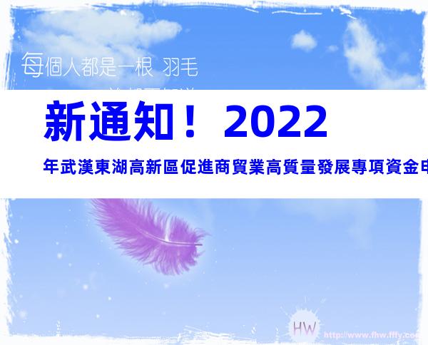新通知！2022年武漢東湖高新區促進商貿業高質量發展專項資金申報時間、條件