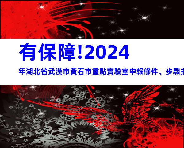 有保障!2024年湖北省武漢市黃石市重點實驗室申報條件、步驟指南