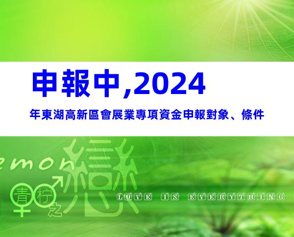 申報中,2024年東湖高新區會展業專項資金申報對象、條件
