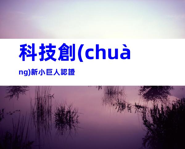 科技創(chuàng)新小巨人認證